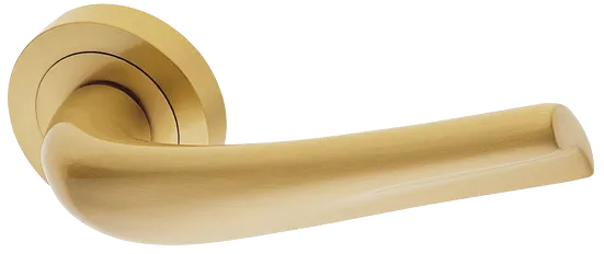 RAFT R2 OSA, ручка дверная, цвет - матовое золото фото купить Оренбург