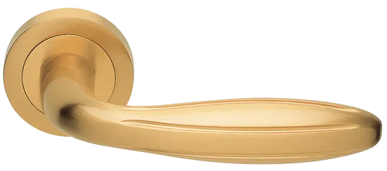 BUD R2 OSA, ручка дверная, цвет - матовое золото фото купить Оренбург