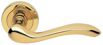 ERICA R2 OTL, ручка дверная, цвет - золото