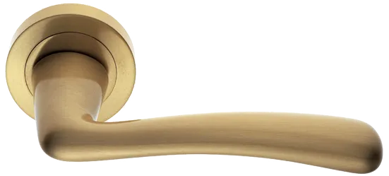 COCKATOO R2 OSA, ручка дверная, цвет - матовое золото фото купить Оренбург