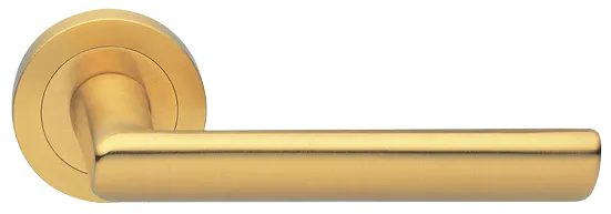 STELLA R2 OSA, ручка дверная, цвет - матовое золото фото купить Оренбург