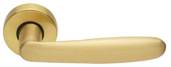 IMOLA R3-E OSA, ручка дверная, цвет - матовое золото фото купить Оренбург