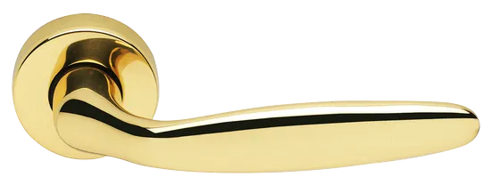 DERBY R3-E OTL, ручка дверная, цвет - золото фото купить Оренбург