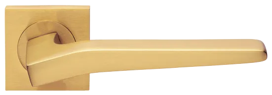 HILL S2 OSA, ручка дверная, цвет -  матовое золото фото купить Оренбург