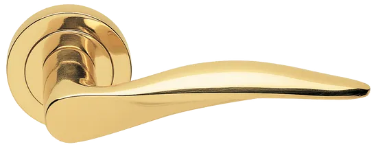 DALI R2 OTL, ручка дверная, цвет -  золото фото купить Оренбург